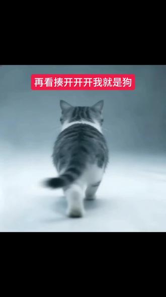 @揍开开开 那咋了?我就要看开开老师一辈子#那咋了?