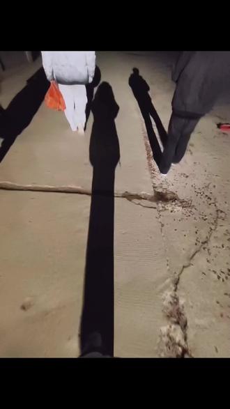 黑吉辽宁在东北,小伙立正姑娘美#黑吉辽宁 #男神 #影子 #音乐