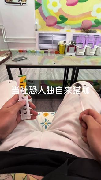 独自来猫咖体验#宠物vlog #一张照片证明你的宠物被你养的很好 #猫治百病
