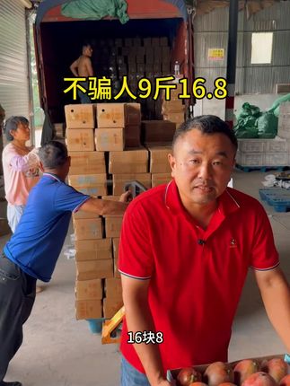 #芒果#凯特芒果