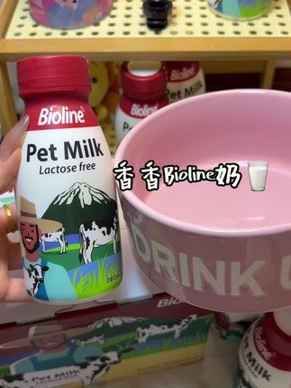 香香的牛奶🥛还送漂亮碗🥣#猫咪配餐#新手养猫#干饭最积极的小猫 #萌宠出道计划 #宠物配餐