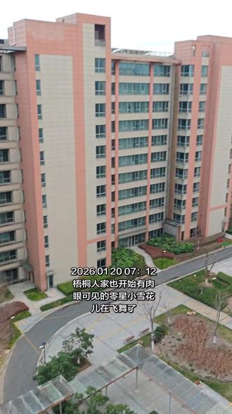 上海梧桐人家也开始飞小雪花儿小雪粒子了…