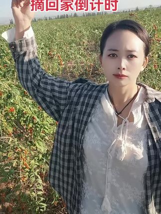不知不觉间,心态悄然改变,仿佛失去了从前的自己。曾经的南墙已撞,往事已忘,那些曾经心之所向的,如今都成了过往。