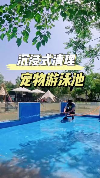 宠物游泳池沉浸式清理➕换水 #宠物友好乐园 #徐州#宠物 #萌宠 #萌宠出道计划