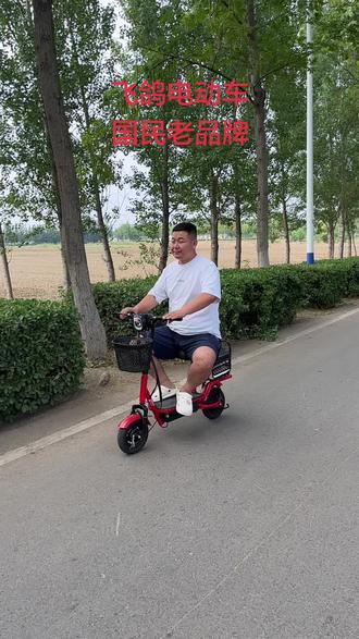 折叠电动车飞鸽品牌。小巧便携能放后备箱 #折叠电动车#电动车#电动车源头工厂#绿色出行低碳又环保