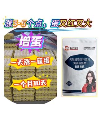 养鸡蛋鸡养鸭蛋鸭养鹌鹑鸽子增蛋补气血提免涨蛋用云蓝黄芪#养鸡 #蛋鸡 #董云讲蛋鸡 #养殖 #三农