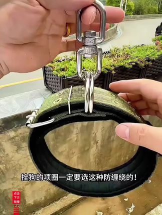 双排加厚颈圈脖套项圈大狗脖圈(不锈钢8字转环)防绕颈结实焊接