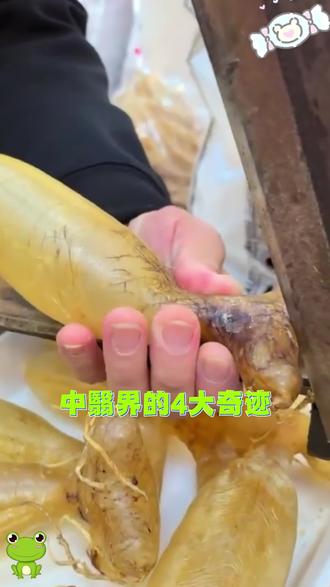 怪不得身边人都在用的秋大夫,原来这么权威!!!