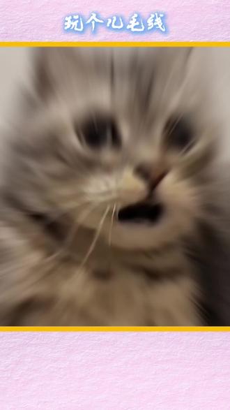 你们这么厉害吗? #玩个儿毛线