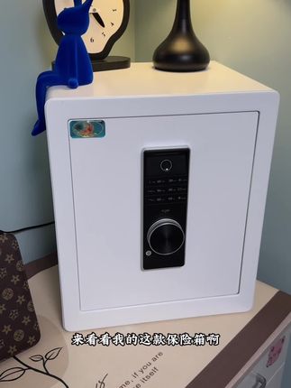 家里贵重物品比较多的整一个保险箱,安全,放心#密码保险箱#指纹款#存钱#贵重物品请妥善保管