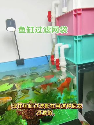 鱼缸过滤用上这个尼龙过滤袋,过滤棉都省了! #鱼缸过滤 #水族用品 #鱼缸过滤网袋 #日常生活小妙招