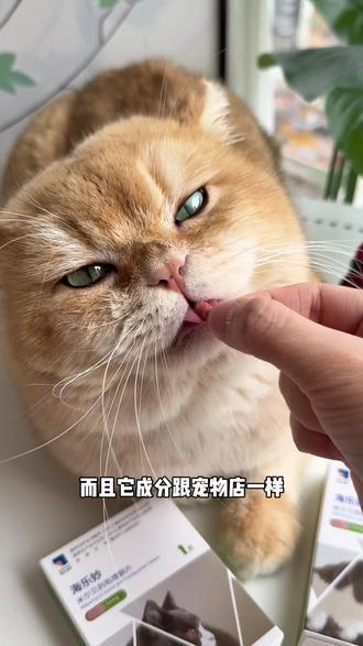 现在给猫猫做驱虫真的太方便了!这款牛肉味的内驱就可以安排起来#科学养宠攻略 #宠物驱虫 #猫咪驱虫 #海乐妙