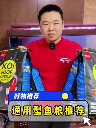 锦鲤综合通用上浮饲料有哪个养鱼人不喜欢?#新手养鱼 #水族 #鱼粮 #养鱼日记 #科学养宠攻略