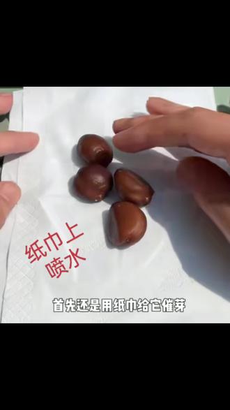 蛇皮果吃了种子太大种起来把南方搬回家