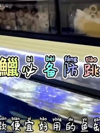 #鱼缸防跳网 #磁吸防跳网 #雷龙防跳网