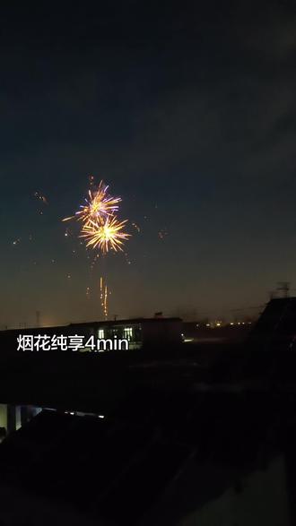 烟花纯享min#山东 #烟花 #过年