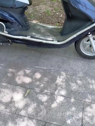 电动车摩托车骑行手机导航支架代驾外卖骑手专用手机架防抖牢固款,#初中生 #小升初 #作文 #阅读理解 #作文素材