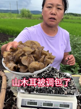 野生山木耳#优质农产品 #家乡特产 #特色农产品 #蔬菜水果沙拉 #户外采摘