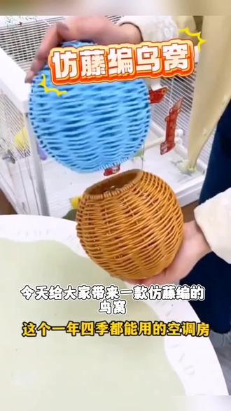 好可爱的球形藤编窝,鸟宝好喜欢!#鹦鹉鸟窝 #藤编窝 #好物推荐🔥