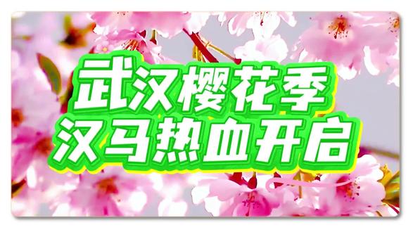 武汉最美樱花赛道#三万跑者展风采#江城采风#