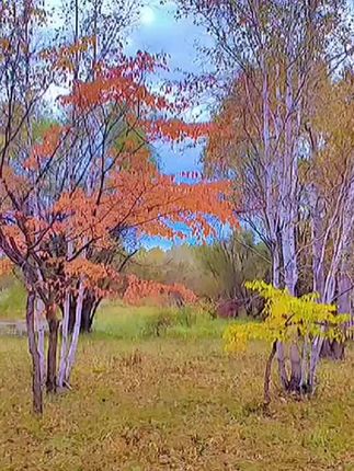 秋色漫山流淌,目之所及皆为心动!#兴安九月#大自然之美 #层林尽染五彩斑斓 #家乡美景随拍 @抖音小助手 @DOU+小助手