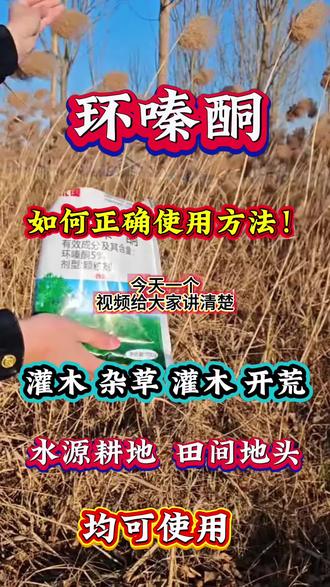 开荒除草杂竹灌木蔓藤,均为可使用环嗪酮颗粒#厂家直发品质保证