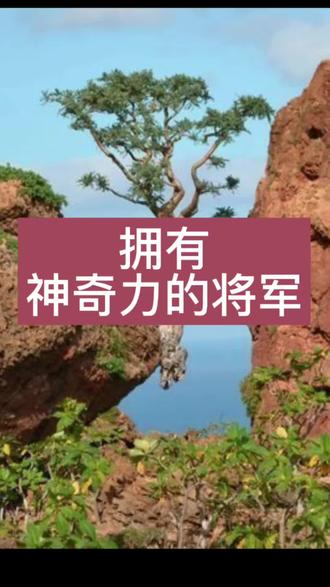 拥有神奇力的将军。什么人才能想什么吸引来什么?他们掌握了什么 #上热门🔥 #历史故事#刘秀#王霸#吸引力法则