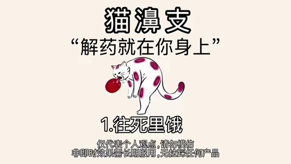猫濞支,其实很简单
#每日分享 #猫咪 #萌宠出道计划 #养猫经验分享