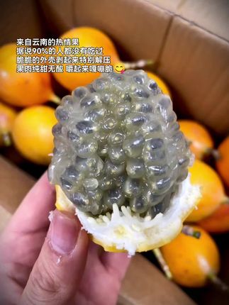 来自云南的热情果,据说90%的人都没吃过,脆脆的外壳剥起来特别解压!果肉纯甜无酸,嚼起来嘎嘣脆😋#热情果 #新鲜采摘 #皮薄肉厚果肉饱满#口感特别好#优质农产品