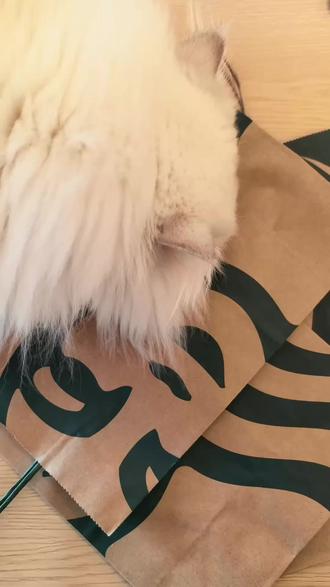 原来如此简单❗️0元get光影灯笼🏮在家看灯会喽#元宵节 #灯笼 #家居氛围感 #元宵节布置