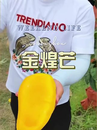 金煌芒#新鲜应季水果 #