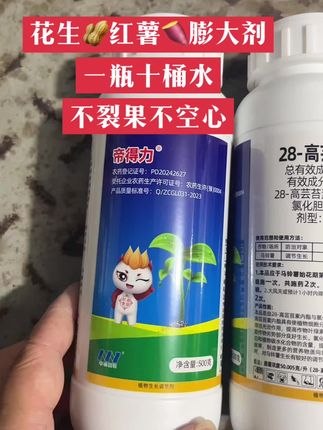 花生🥜红薯🍠膨大剂,一瓶十桶水,不裂果不空心。 #新农人计划 #农业种植 #抖音助农 #超便宜超划算 #爆款热卖中 @DOU+小助手 @DOU+上热门 @DOU+小热门🔥粉丝千千万🔥 @DOU+好生意