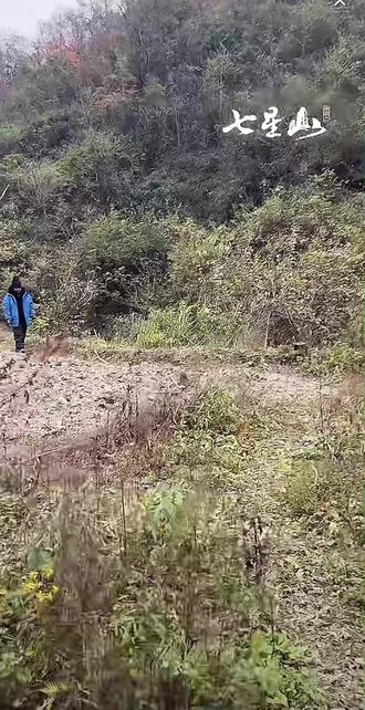 最佳水源过滤奖,今晚五点开播,五点半准时投票(苗王开始)评论区评论投票,不刷礼物,5.30分大家一起支持苗王吧,#野外生存 #苗王 #老六荒野@荒野吴烦恼(苗王)