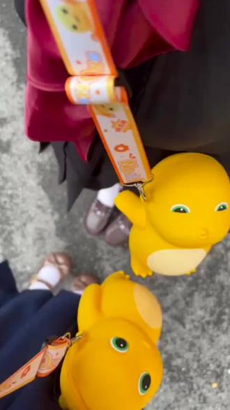 可爱奶龙单肩包百搭硅胶零钱卡通儿童玩偶小众幼儿园过年抽象正品#奶龙 #出行好物 #小书包 #好物分享