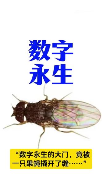 马斯克都惊了!果蝇“数字永生”,人类赛博永生时代要来了?