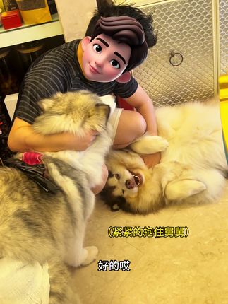 舅舅:很无语的一天🤦🏻♂️ #阿拉斯加 #萌宠阿拉斯加 #毛孩子的日常 #我和我的狗 #是宠物更是家人