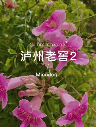 夸孩子也是一门学问要用对方式,不然只能适得其反。#亲子教育 #育儿 #家庭教育 #父母课堂 #干货分享