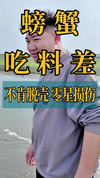 螃蟹吃料差 不肯脱壳 零星损伤 #创作灵感 #螃蟹 #螃蟹养殖技术 #水产养殖技术 #三农养殖