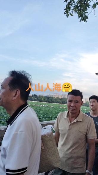 不要宅在家里, 赶紧出来东莞连湖公园赏荷花😊凑热闹吧