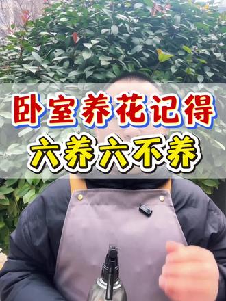 卧室养花红黑榜6养6不养#花卉绿植