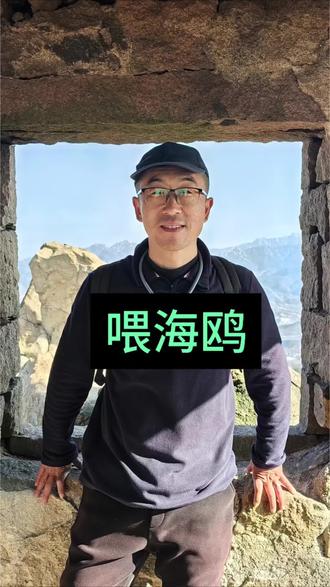 家里有小朋友的一定要过来#青岛海鸥