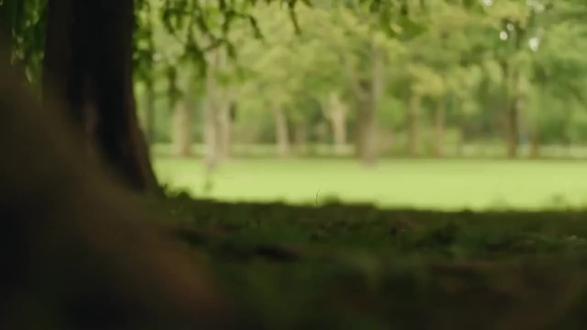 我们是最不想当父母的那一代,也是最能当好父母的一代。#公益广告