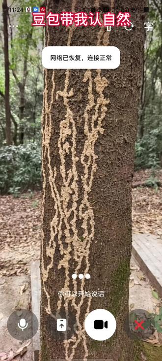 #豆包 #自然 #ai 豆包有时候比一些app好用,喜欢自然的可以用起来