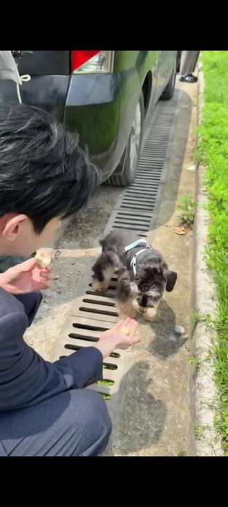 郝熠然 这个花絮里好好看啊 太帅了 转头那一瞬间太惊艳了 我们star是情绪稳定的乖宝宝#帅哥#花絮#向全世界安利#普普#郝熠然 #花絮