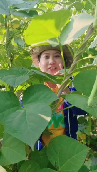 #你能叫出它的名字吗 学无止境之豆包快手第二天,感觉我已经出师了