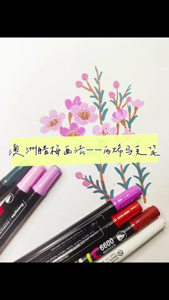 一直以为澳洲腊梅是红色,翻了资料,粉色白色才是本尊颜色。超简单的丙烯马克笔画澳洲腊梅#零基础学画画 #手绘#丙烯马克笔 #腊梅 #跟着抖音学画画