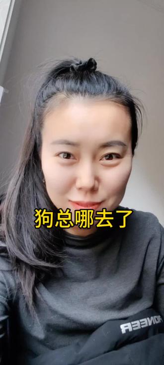 狗总哪去了啊家人们,你们是不是也在找#狗总