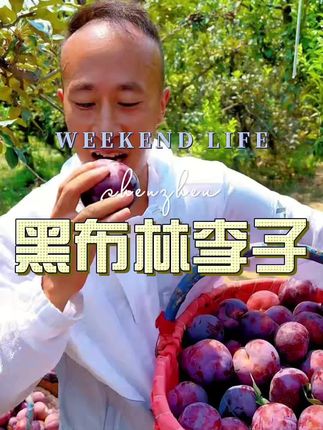 #黑布林李子 #新鲜应季水果 #酸甜可口 #优质农产品 #水果