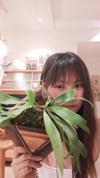 植女摆烂式养鹿角蕨🌿直接用拼豆邪修 拼豆好哇,还得拼豆哇!
别人养鹿:控温控湿、小心翼翼
我养鹿:永生鹿角蕨~不用浇水、不用阳光、手残党狂喜#拼豆 #拼豆豆 #拼豆教程 #拼豆手工