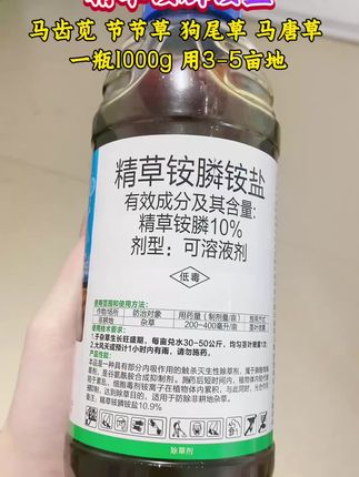 精草铵膦铵盐 除草开荒必备好药 源头厂家直发#精草铵膦铵盐 #精草铵膦铵盐除草剂 #精草铵膦铵盐果园茶园除草 #我的农资之路 #增产增收才是硬道理
